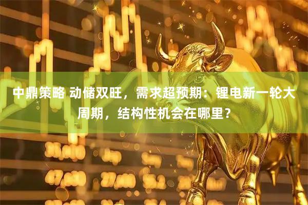中鼎策略 动储双旺，需求超预期：锂电新一轮大周期，结构性机会在哪里？